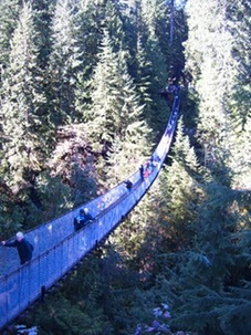 capilano bridge-1