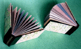 new-29-per-cent-FT-2-bks.gif (104444 bytes)