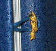 wpeB.gif (11681 bytes)